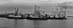Photographer Louis Dallara Showing Cape May Fishing Fleet Photos